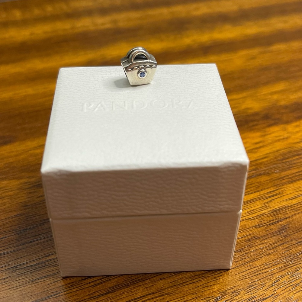 Purse Pandora Charm
